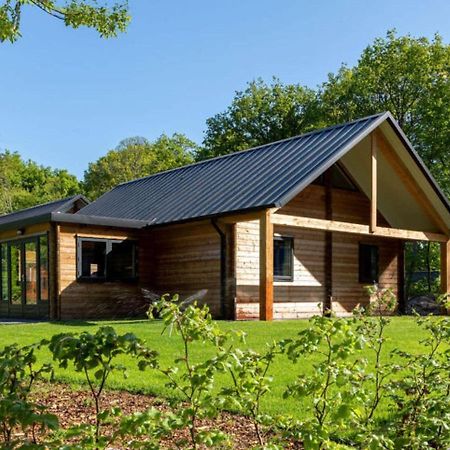 Cosy Wooden House Amid Woods In Soesterberg Utrecht Esterno foto